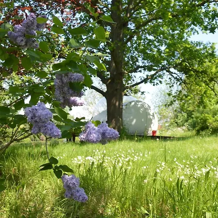 Luxury tent Sleep In A Bubble